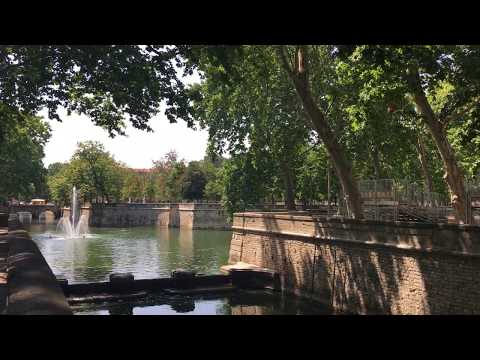 Les platanes déroulent une ombre apaisante...