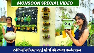 मानसून स्पेशल  पौधों की गजब कलेक्शन  Monsoon Special Video