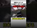 日本車レースゲーの桜バグ
