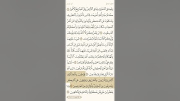 حفظ سورة آل عمران آية 113 و 114 و 115