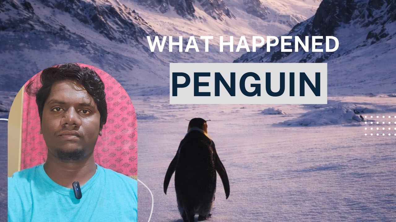 Why Is This Penguin Walking Alone? 🐧