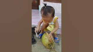 Bukaa buah kelapa