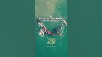 8 Nguyên tắc sống của người khôn ngoan #bahadi #kinhdoanh #kinhdoanhonline