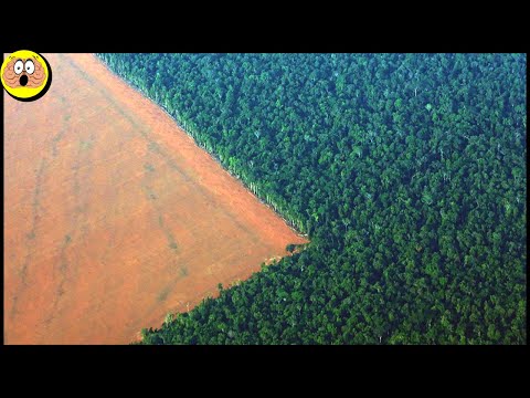 Ontdekkingen in de Amazone die je Niet Mag Zien
