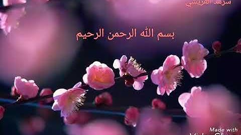 سورة الدخان كاملة   سرمد القريشي