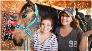 SISTER TEACHES ME TO RIDE A HORSE! (W/ Missy!) // SoCassie SISTER TEACHES ME TO RIDE A HORSE! (W/ Missy!) // SoCassie