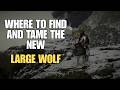 Crimson Desert - How To Get New LARGE WOLF MOUNT! - Full Location & Taming Guide