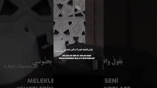 İmamı Şaravi Allah Dostları İmtihan امام شعراوي أهل الله