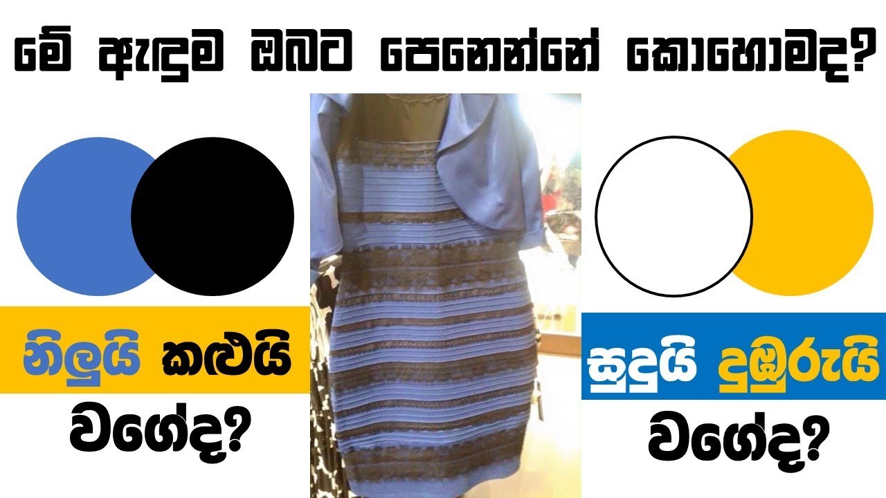 මේ රූපයට ඔබ ජීවිතය දකින හැටි වෙනස් කරන්න පුළුවන්  : පටු චින්තනයෙන් මිදෙන්න විද්‍යා පාඩමක්