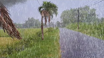 WALKING IN HEAVY RAIN AND THUNDER WITH STRONG WINDS ON THE EDGE OF A PEACEFUL VILLAGE