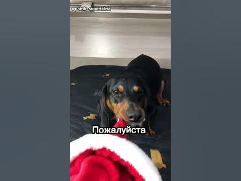 Лучший подарочек это я🎁 - YouTube