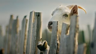 Our Song, Newfoundland and Labrador Tourism
