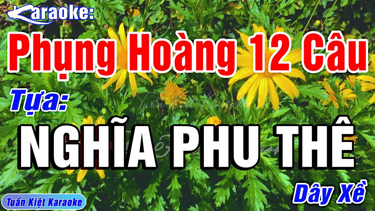 Karaoke Phụng Hoàng 12 Câu Nghĩa Phu Thê Dây Xề | Beat Mới, Chuẩn, Hay Và Dễ Hát – Tuấn Kiệt Karaoke