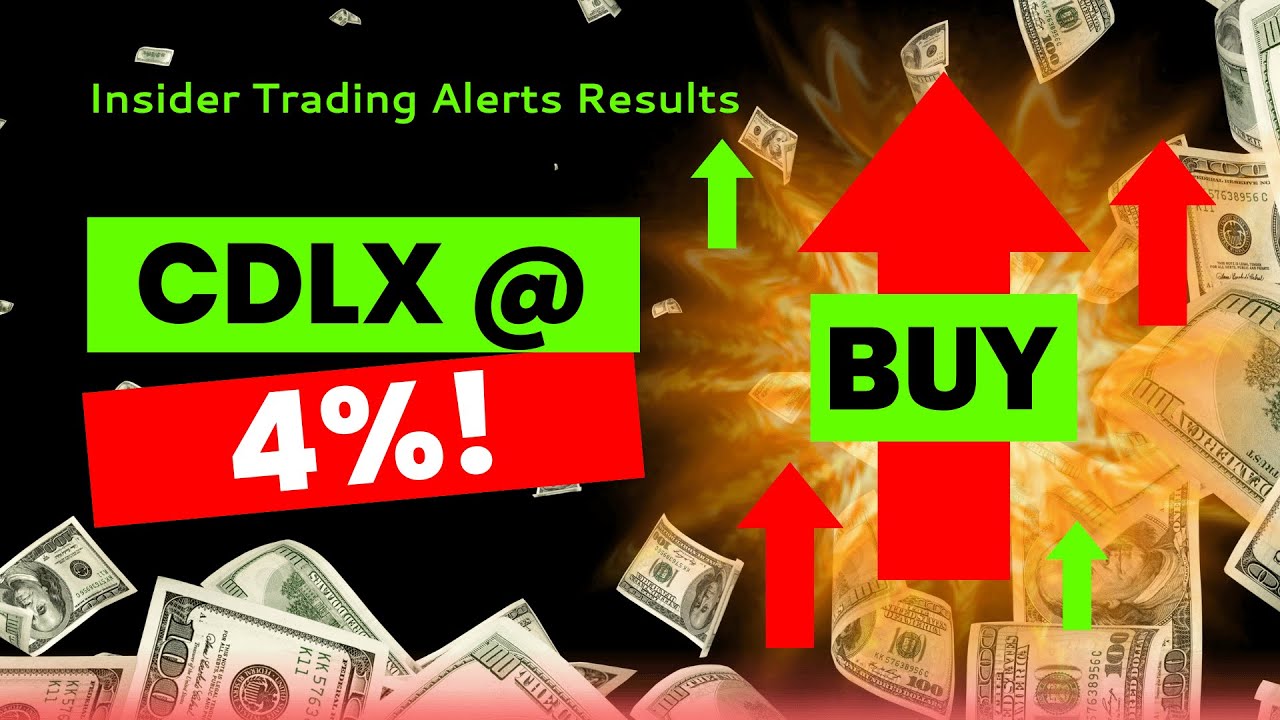 Harness Market Potential: Insider Alerts Demonstrate Documented Gains