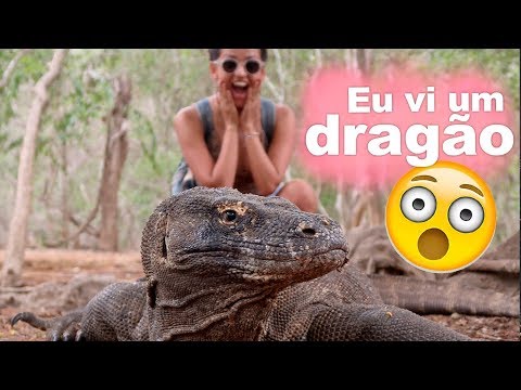 Vídeo: Onde Ver Dragões De Komodo No Parque Nacional De Komodo, Indonésia