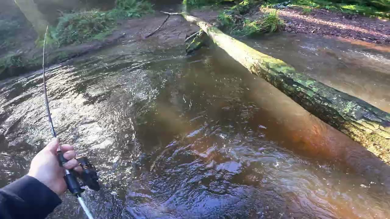 Spinning for wild Irish brown trout in the new 2026 season.