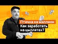 Птичка на миллион. Как заработать на цыплятах?