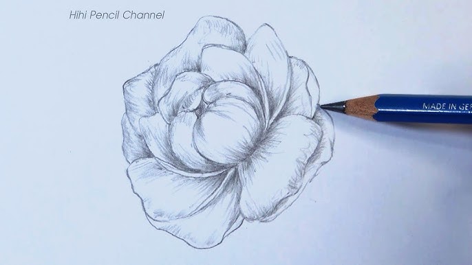 How to Shade Flowers with a Pencil — Katrina Crouch | Blushed Design