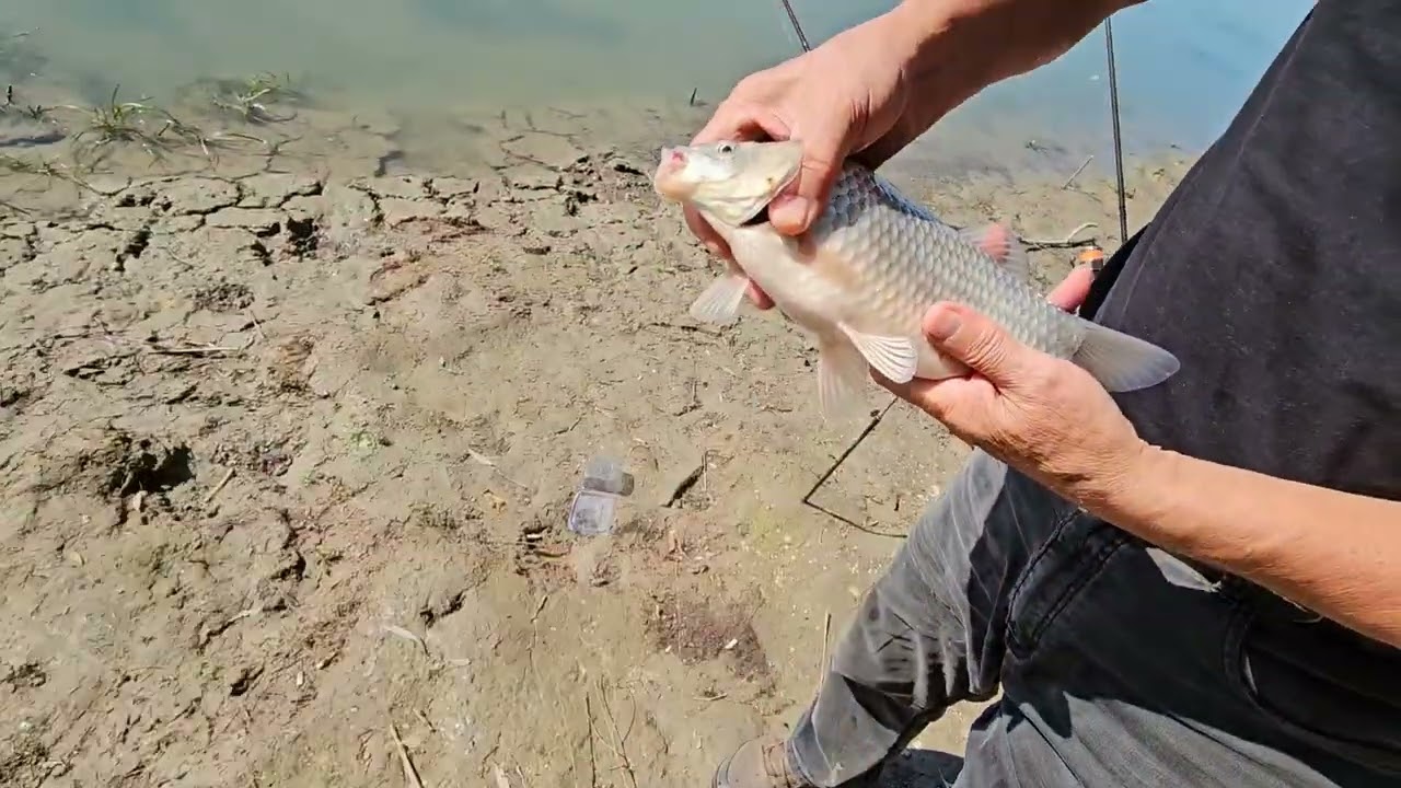 Brațul Măcin-pescuit și relaxare