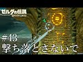 【ゼルダの伝説 ブレスオブザワイルド】#43 撃ち落とさないで【女性実況】