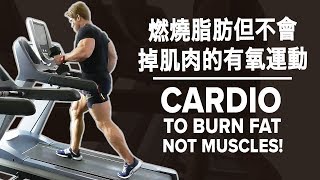 燃燒脂肪但不會掉肌肉的有氧運動| CARDIO to Burn Fat, Not ...