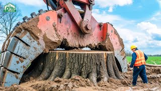 890 Die Stärksten Forstmaschinen, die auf einem anderen Level arbeiten: Forsttechnik der Extraklasse