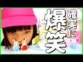 【超爆笑】シルバニアファミリーでショートコント。保育園編。