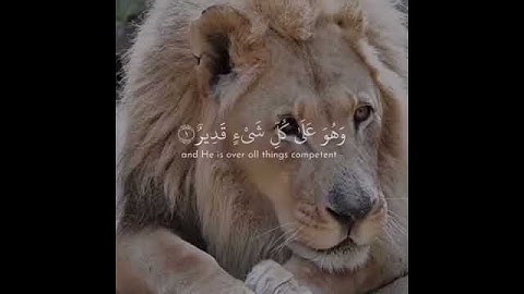 إسلام صبحي سورة الملك 😔 تلاوة خاشعة حالات واتس اب دينية