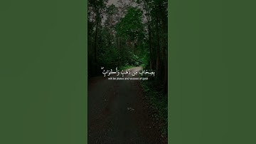 أكتب شئ تأجر عليه| سورة الزخرف الايه 69 _ 73 القارئ ياسر الدوسري 🎧 #اكسبلور #راحة_نفسية