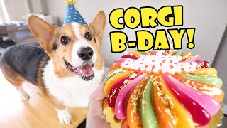 Giving My CORGI His Best BIRTHDAY || Life After College: Ep. 725