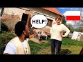 What happens when a polish villager comes across foreigner in wawrzeczyce 