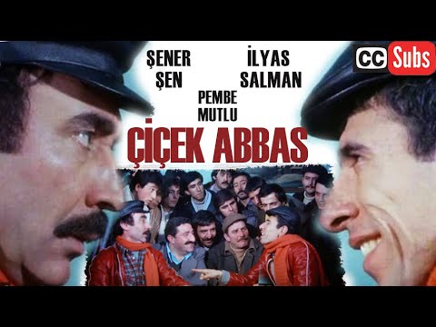 Haydi Abbas vakit tamam Ayşe Ekiz