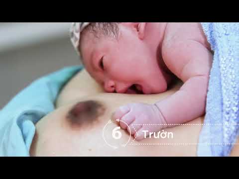 Nine instinctive steps to breastfeeding - Vietnamese