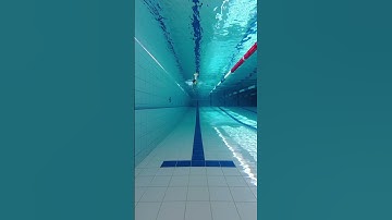 Swimming freestyle with paddles #swim #shorts