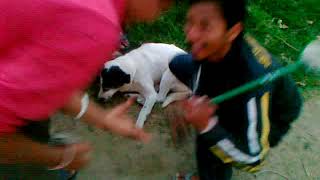 Fun With Harry Hurrrrrrrrrrrrrrrrrrrr