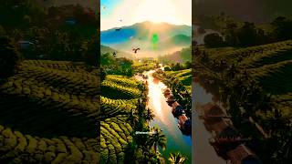 Real 4K Footage” → highlights realism and high quality, #titanic #shortvideo