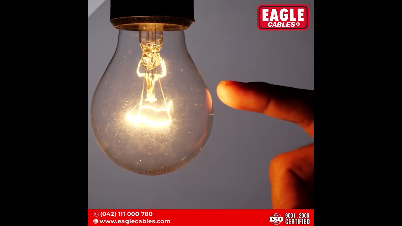 𝐄𝐚𝐠𝐥𝐞 𝐂𝐚𝐛𝐥𝐞𝐬: 𝐘𝐨𝐮𝐫 𝐋𝐢𝐟𝐞𝐥𝐢𝐧𝐞 𝐭𝐨 𝐏𝐨𝐰𝐞𝐫 