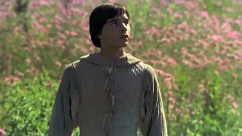 Qual è il messaggio del film Fratello sole sorella luna?