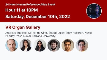 24 Hour Human Reference Atlas Event - Hour 11 - VR Organ Gallery