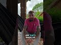 Addiction to Ayahuasca: Fighting Trauma for Healing #shorts