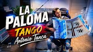 LA PALOMA Tango Fisarmonica LIVE Antonio Tanca