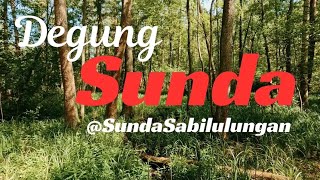 Download lagu Degung Sunda 11, es lilin, pamandangan unique