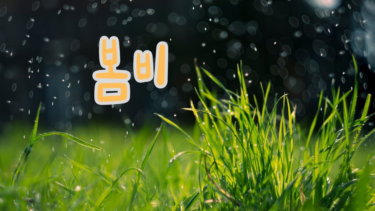 봄비 / 🌧️ 봄비처럼 스며드는 희망의 노래 🌱🎶📖 1️⃣ 젖어 드는 마음, 봄비에 물든 감성 🌧️ 희망의 싹을 틔우는 노래 🌱 당신의 하루를 적시는 따뜻한 멜로디 🎶💫  💫