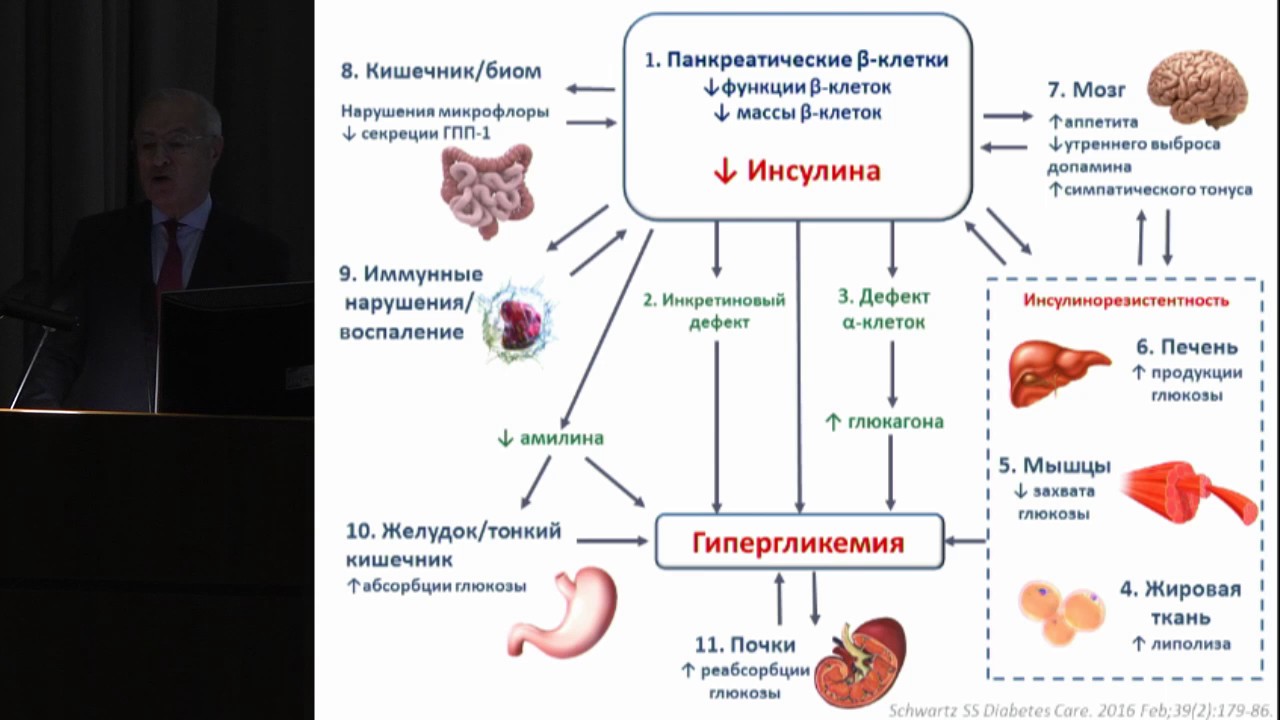 Ингибиторы натрий глюкозного котранспортера 2