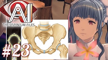 THE RETURN OF THE MAN WHO LIKES PELVISES | Let