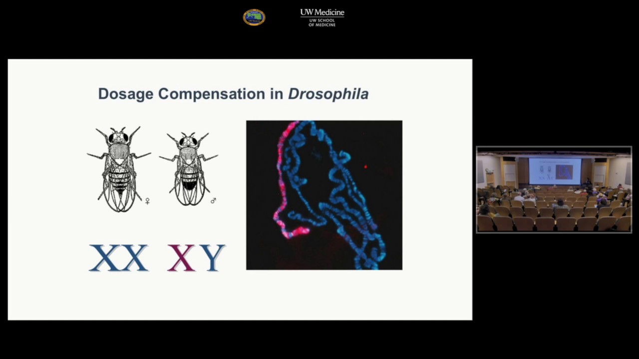 Session 1: Dr. Mitzi Kuroda