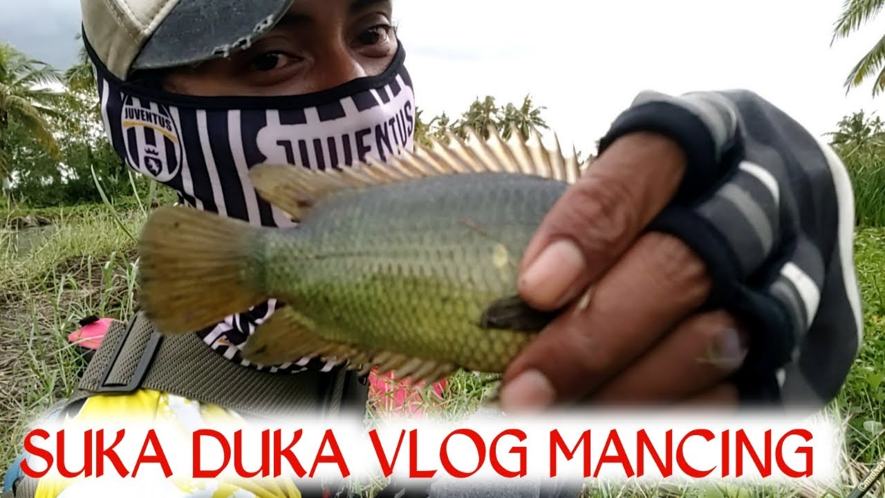 MANCING IKAN NILA!! YANG DI DAPAT JUSTRU INI