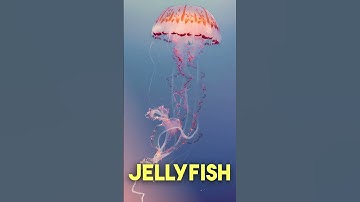 This Thing Transforms into Other Sea Creatures! 😱"
