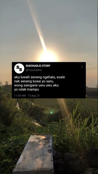 STORY WA SAMBAT!!