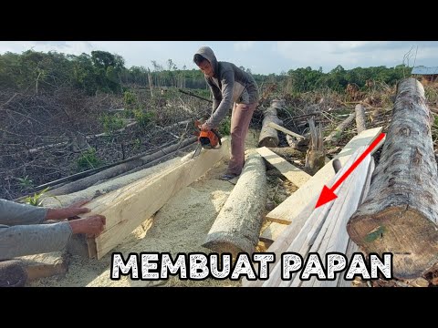 MENGOLAH KAYU MEMBUAT PAPAN UNTUK PONDOK KEBUN